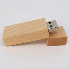 Vraiment Capacité Populaire OEM USB Pendrive